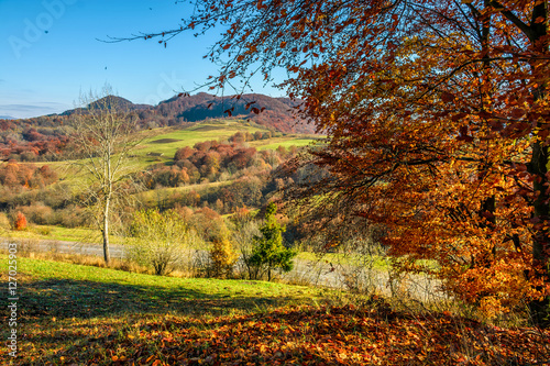 autumn mounrain landscape with meadow and trees on hillside photo