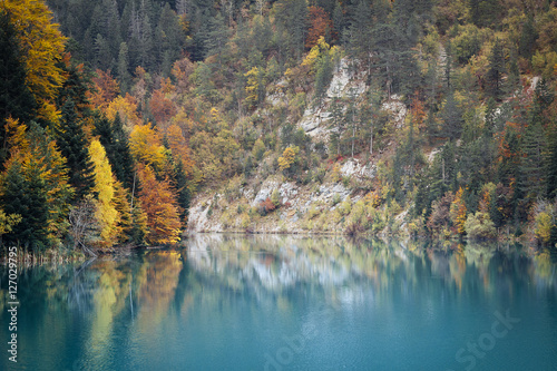 Fototapeta Naklejka Na Ścianę i Meble -  Autumn landscape. Composition of nature.