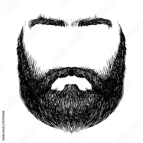 beard, mustache, eyebrows