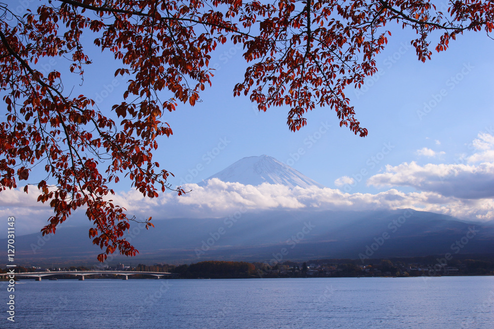 河口湖と富士山