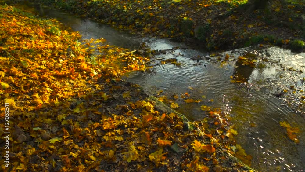 Water flowing and small cascade with leaves in autumn Water flowing and small cascade with leaves in autumn