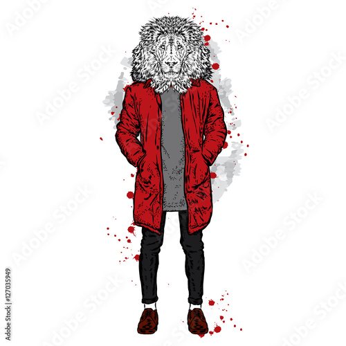 Fototapeta Naklejka Na Ścianę i Meble -  Stylish lion in a jacket and jeans. Vector illustration for greeting card, poster, or print on clothes. Fashion & Style.