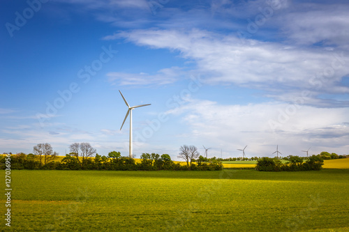 Sustainable energy. Danish landscape with windmills and green fi