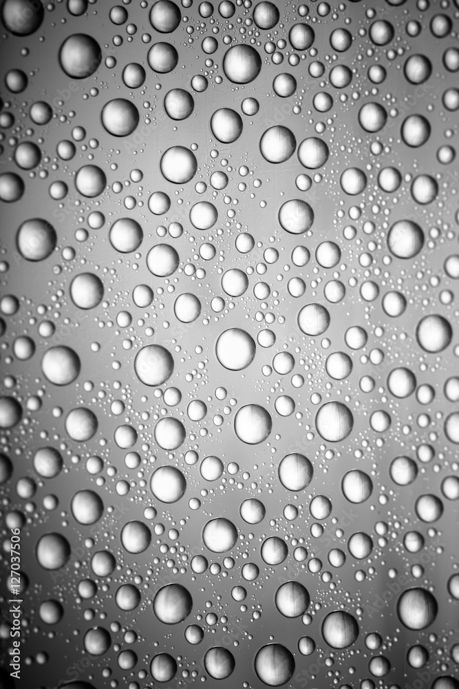 bw photo water drops of on treat water-repellent surface in macro lens shot small-DOF for screen wallpapers