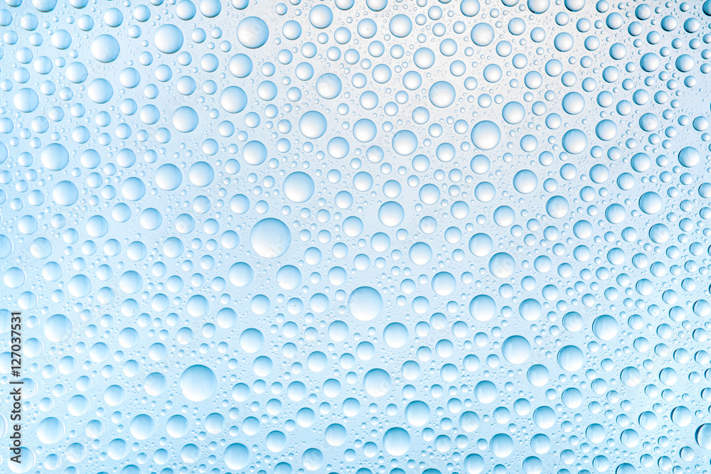Blue water drops of on treat water-repellent surface in macro lens shot small-DOF for screen wallpapers Blue water drops of on treat water-repellent surface in macro lens shot small-DOF for screen wallpapers