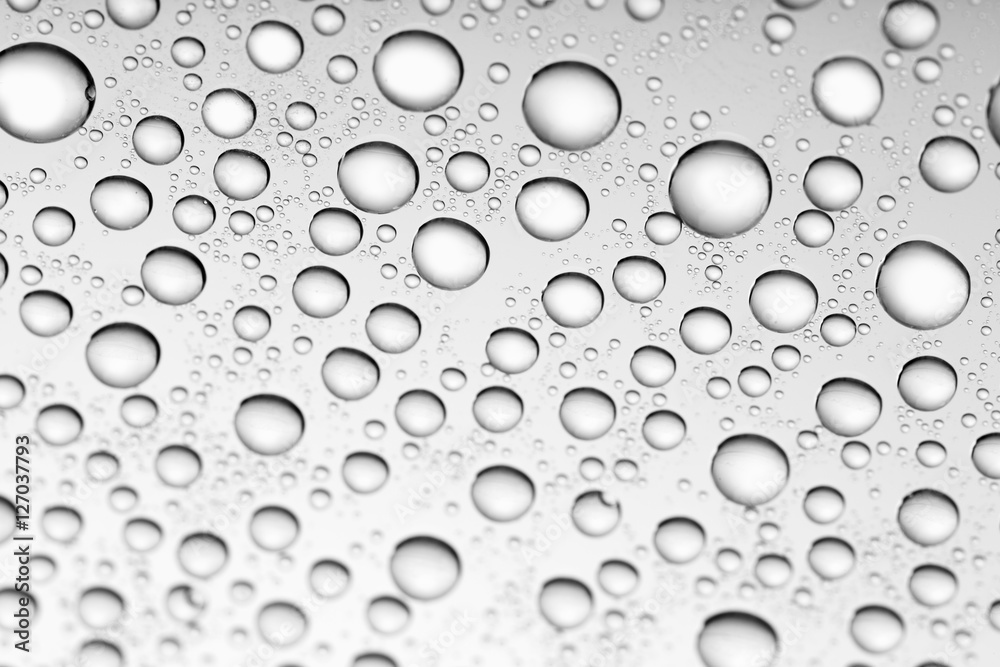 bw photo water drops of on treat water-repellent surface in macro lens shot small-DOF for screen wallpapers