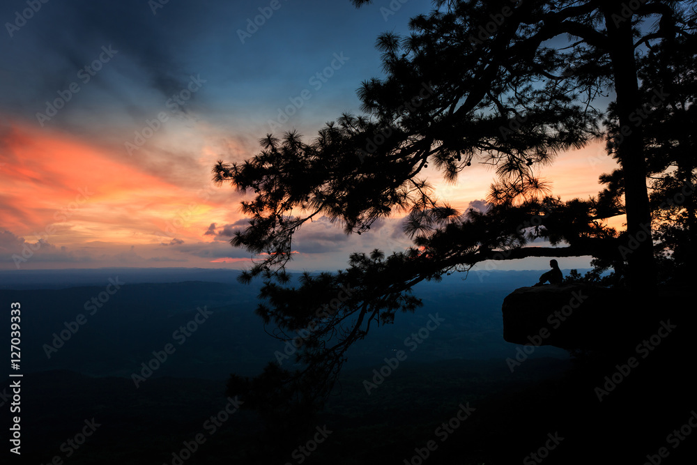 The landscape photo, beautiful sunset at Pha Lom Sak cliff in Phu Kradueng National Park,  Loei province, Thailand