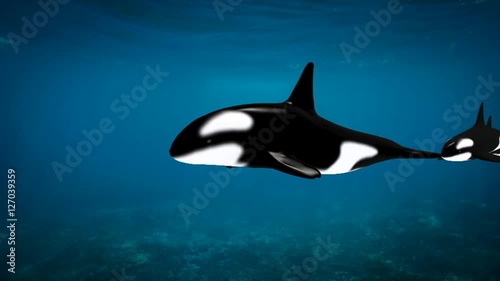 Killer whale swimming in a sea with her kids, 3d animation