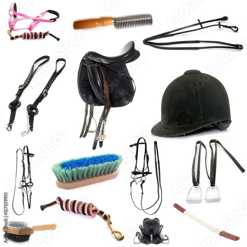 Foto equipments of horse riding