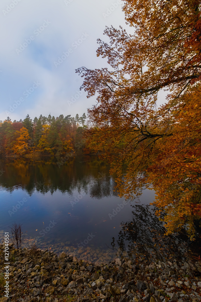 Autumn colours at a lake