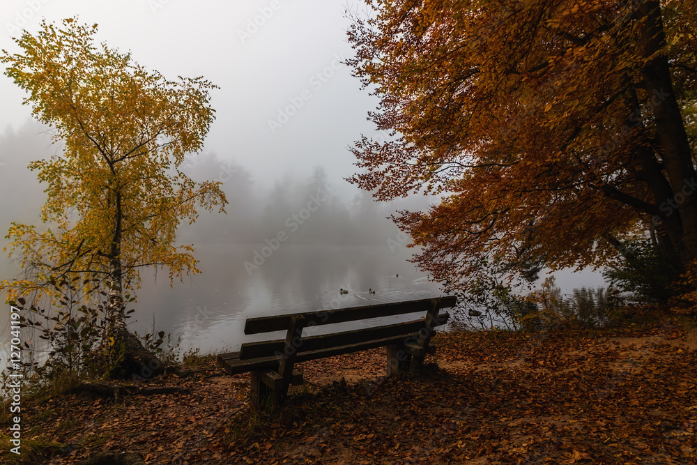 A bench at a lake in Autumn fog