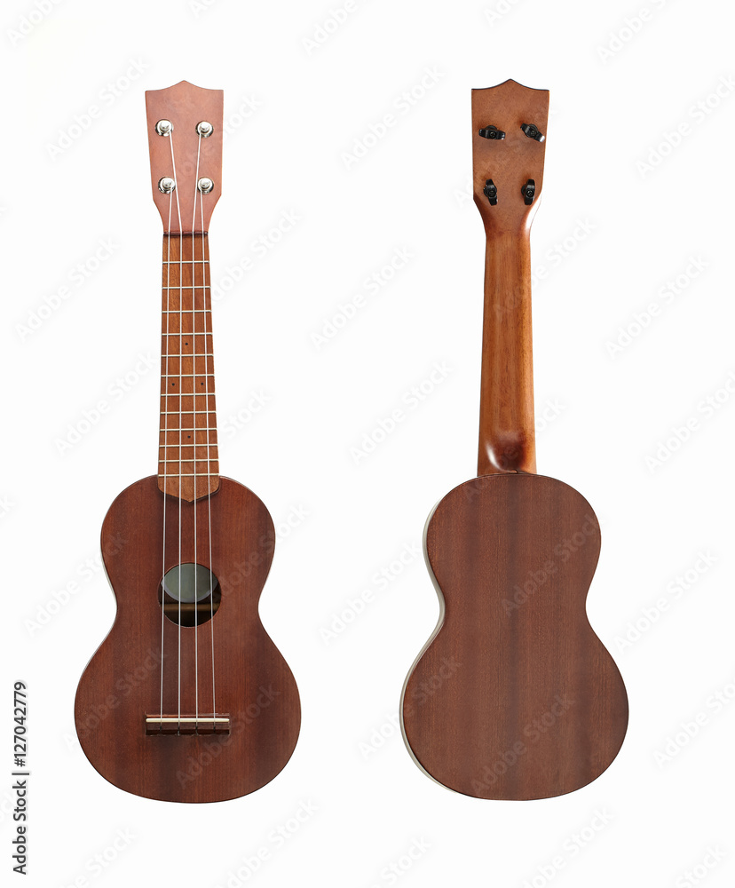 Obraz premium Ukulele.