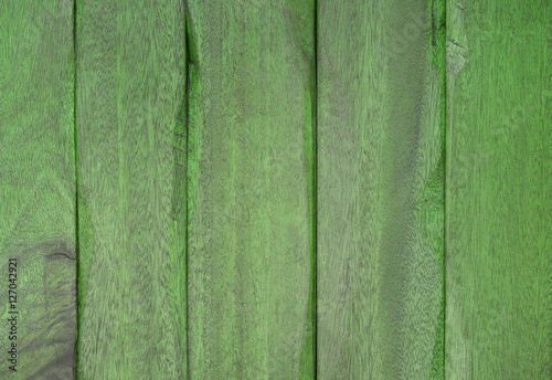Wood texture. Lining boards wall. Wooden background pattern. Showing growth rings. green color