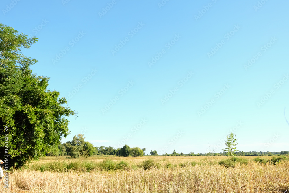 Obraz premium blue sky