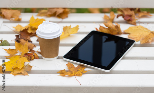 tablet pc and coffee cup on bench in autumn park