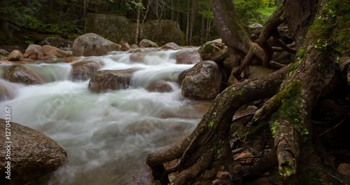 White Mountains, New Hampshire, USA - water of Sabbaday Brook river over stones in the forest below the Sabbaday Falls - Timelapse with motion photo