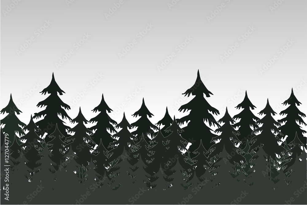 Obraz premium Coniferous forest. 