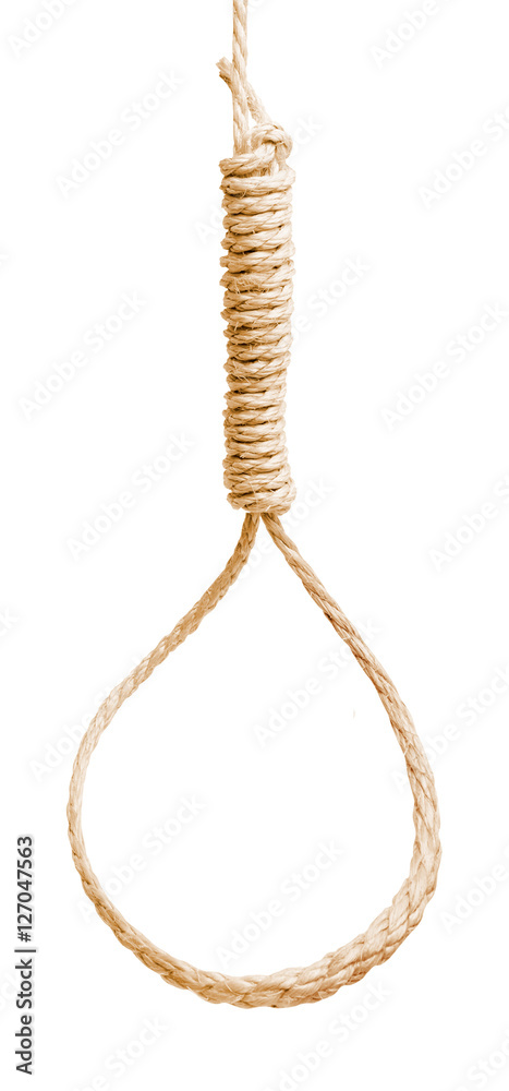 noose noose