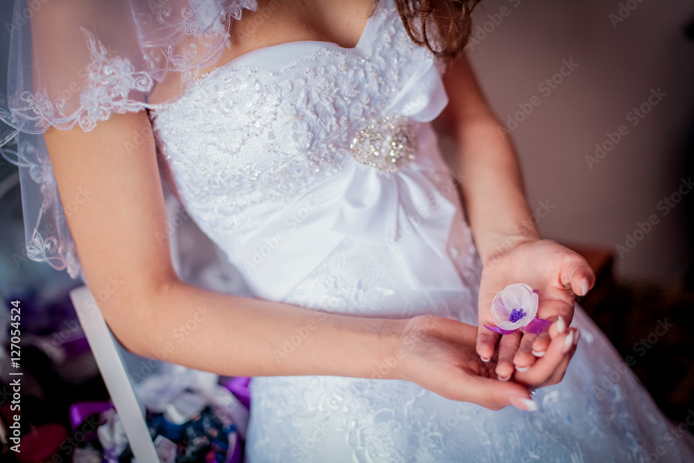 Wedding bride. Portrait of beautiful bride at the wedding morning, preparation of elegant bride Wedding bride. Portrait of beautiful bride at the wedding morning, preparation of elegant bride
