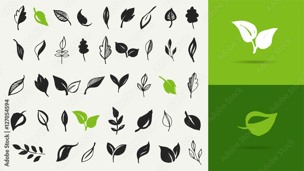 Set of hand drawn leaves, green leaf, sketches and doodles of leaf and plants, green leaves vector collection