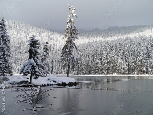 Winter am Grossen Arbersee / Bayerischer Wald