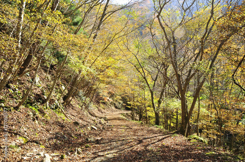 西日本の山・渓谷の林道