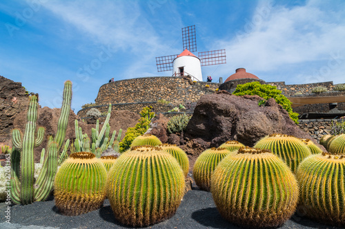 View of cactus garden in Guatiza village, Lanzarote, Canary Islands, Spain photo