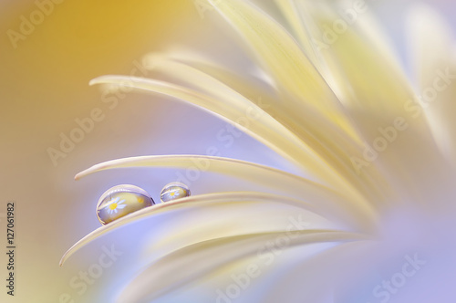 Reflection of the flower in the dew drop. A drop of water on the petal of a yellow flower close-up maсro. Gentle romantic artistic image. Soft pastel background blur.