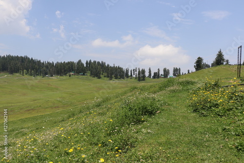 Beautiful view of Gulmarg, mountains, green tree line of Jammu & Kashmir valley.