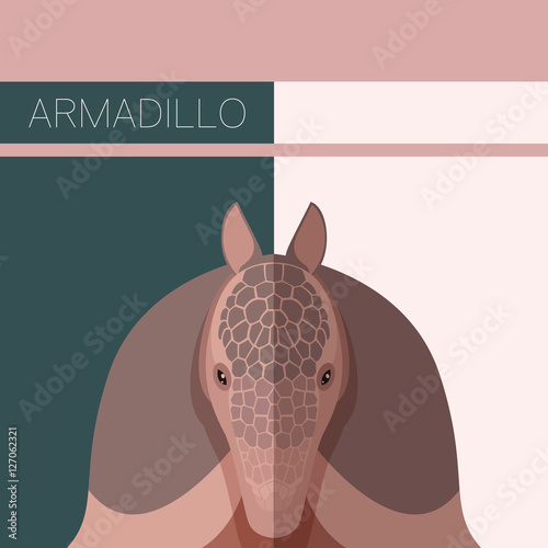 Flat postcard with Armadillo
