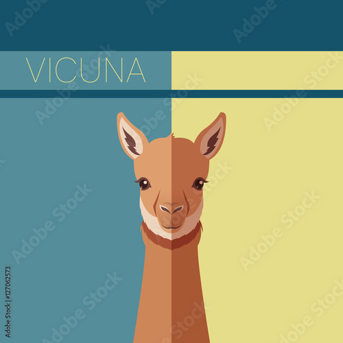 Flat postcard with Vicuna