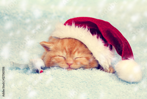 Fototapeta Naklejka Na Ścianę i Meble -  Little red kitten wearing Santa hat sleeping on a blanket