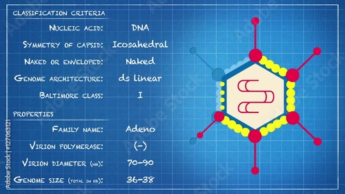 Adenoviridae - Virus classification criteria and properties photo