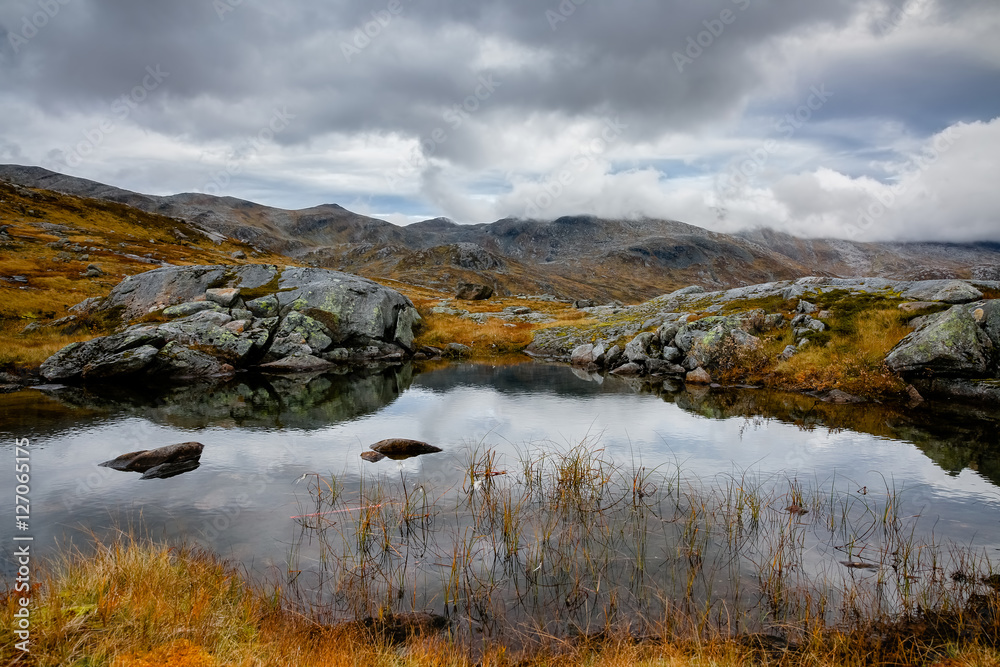 Nature in Norway, Senja island Nature in Norway, Senja island