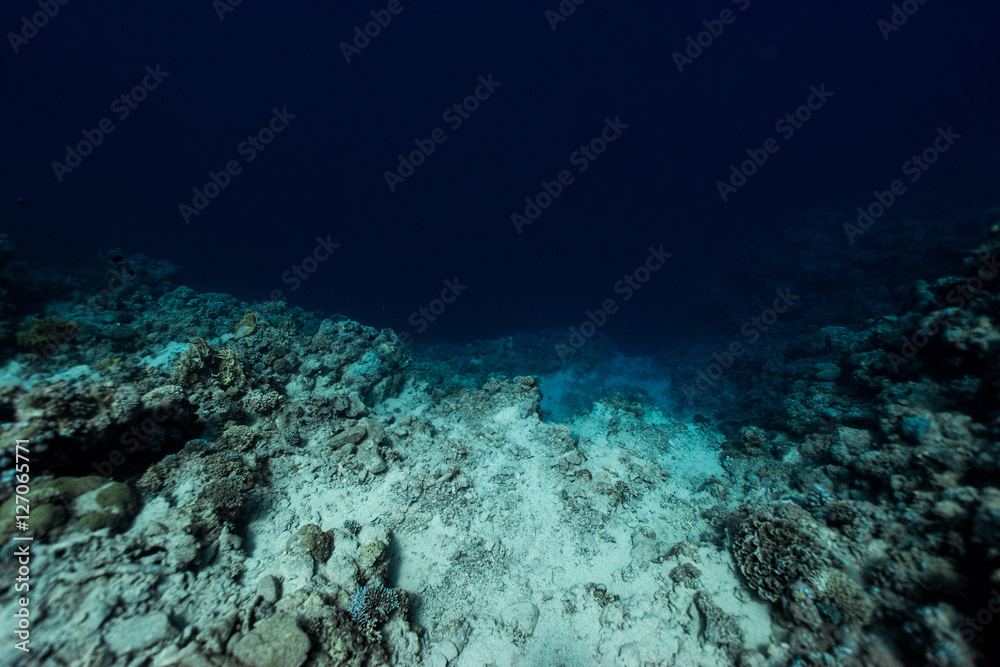 Dahab blue hole abyss Dahab blue hole abyss