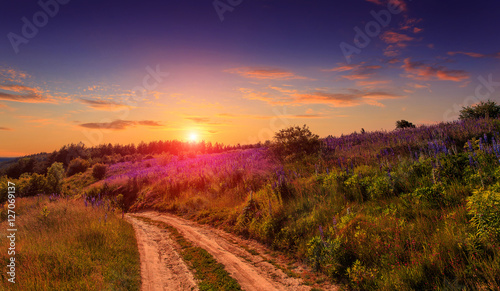 Fototapeta Naklejka Na Ścianę i Meble -  Summer landscape. majestic multicolor sunset over the meadow. rural road, grass and flower, under sunlight. breathtaking scenery. fantastic picturesque scene. color in nature. soft lighting effect. 