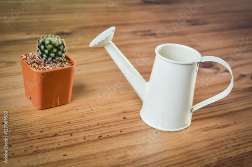 Little beautiful cactus with watering on wood background  photo