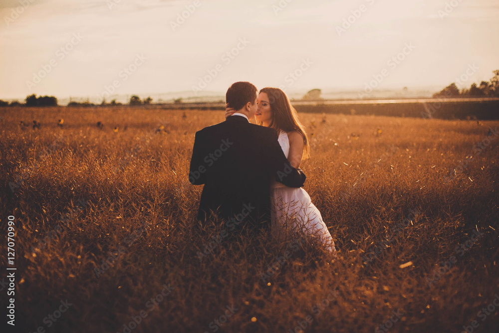 beautiful and young bride and groom kiss each other in a field beautiful and young bride and groom kiss each other in a field