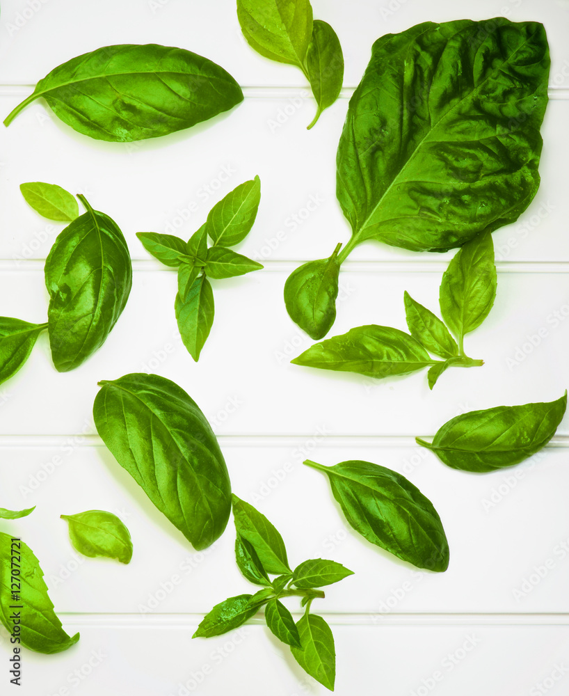 Fresh Basil Leafs Fresh Basil Leafs