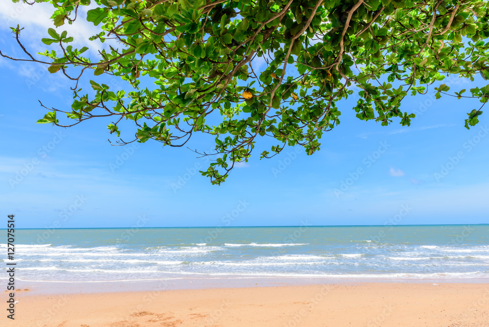 beautiful trees on sea and sky background