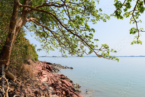 Fototapeta Naklejka Na Ścianę i Meble -  trees and pink stone near sea