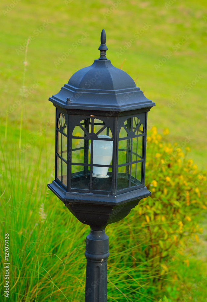 garden lamp with green plant