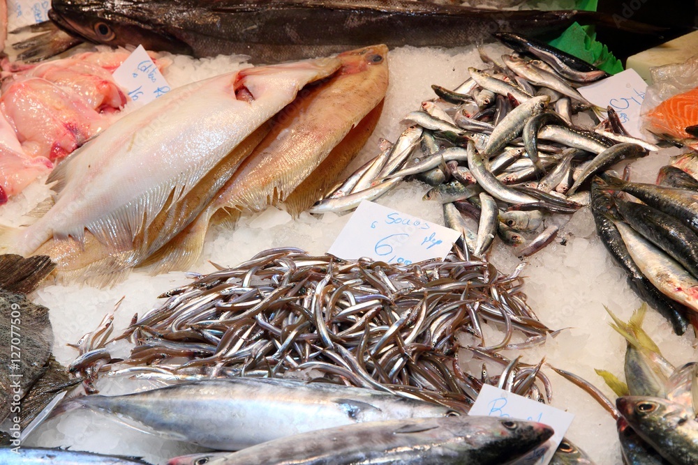 Fresh sea food Fresh sea food