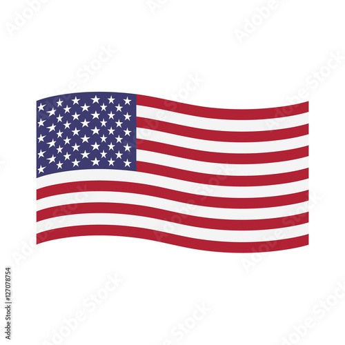usa flag vector