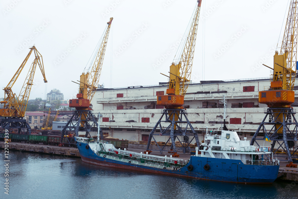 Fototapeta premium Cargo cranes, Odessa sea port