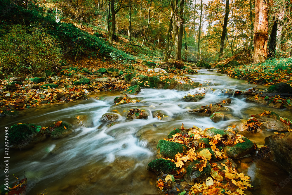 Autumn flowing stream