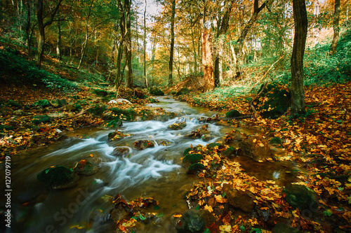 Fototapeta Naklejka Na Ścianę i Meble -  Autumn flowing stream