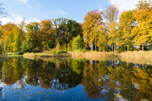 Autumn trees and pond on estate Boekesteyn, Netherlands