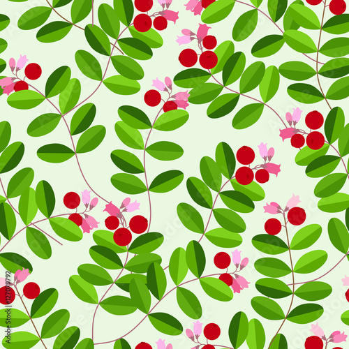 Cowberry thicket seamless pattern