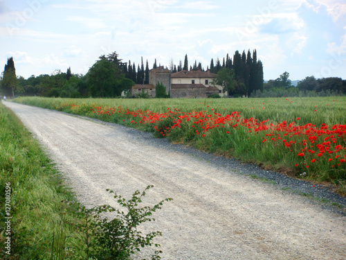 Landgut in der Toskana mit Mohnblumen am Wegesrand